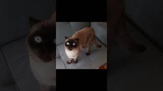 Şefkatle Değişecek Bir Hikaye İçin Harekete Geç