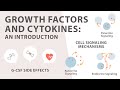 Cell signaling introduction to growth factors and cytokines