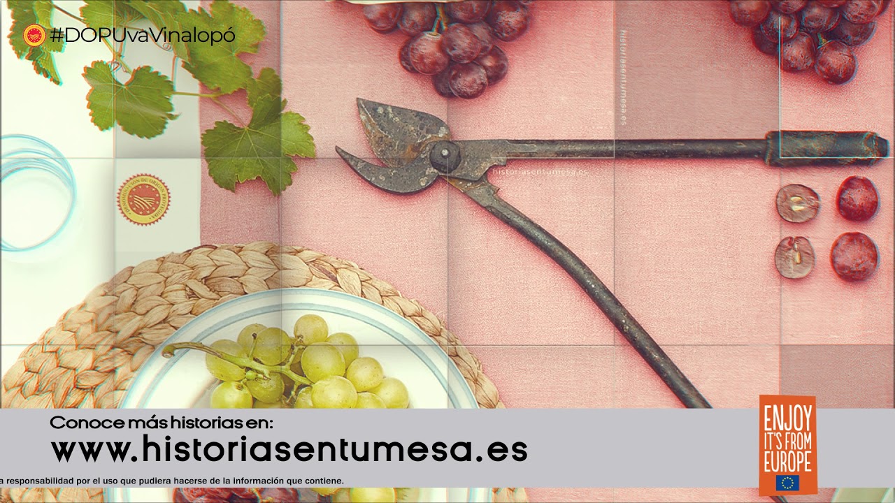 DOP Uva de Mesa Embolsada del Vinalopó