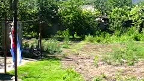 LOT.CENTRU.2x (1).avi