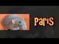 Awesome, Amazing Rat Tricks
