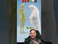 Animais que matariam um homem com apenas um soco #biologohenrique #animais #bichoesperto #biologo
