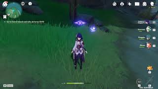 Is this a bug with Raiden Shogun elemental skill!