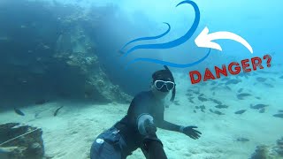 Kahe Point Pipes (Electric Beach) are they dangerous | Genki Sushi; food to your table on a train!