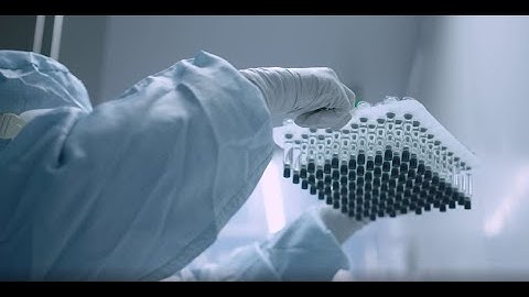 LSNE Corporate Overview - Delivering On Our Promises