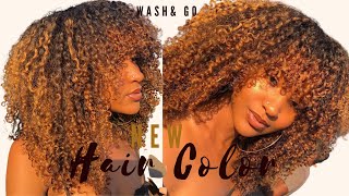 UPDATED| BLONDE CURLY HAIR ROUTINE🍯