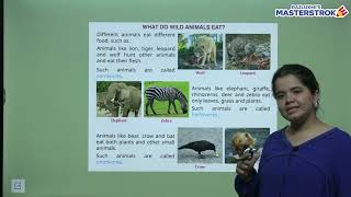 CHAPTER 4 WILD ANIMALS | SCIENCE CLASS 2