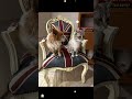 It is all about love…#pet #petlover #cat #dog #love #Shorts