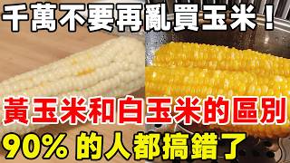 千萬不要再亂買玉米！ 黃玉米和白玉米的區別，90%的人都搞錯了#科普 #科普頻道