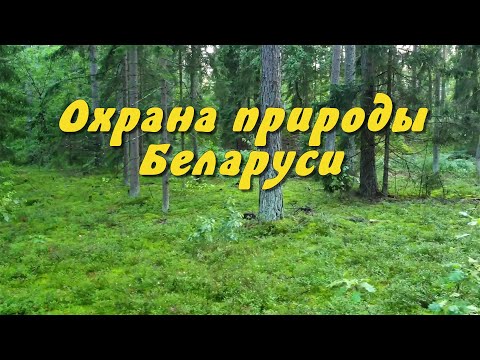 Охрана природы - важная задача государства (Беларусь)