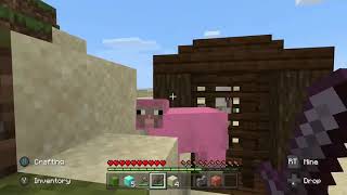 I found rare pink sheep in minecraft (OMG)