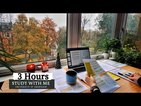 3 HOUR STUDY WITH ME⎢Background noise, 10 min Break, No music, Study with Merve
