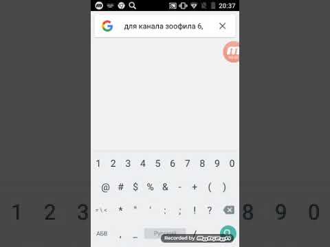 Для канала да я зоофил 6