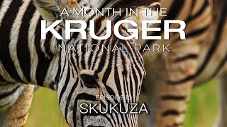 A MONTH in the KRUGER - SKUKUZA (Episode 10)