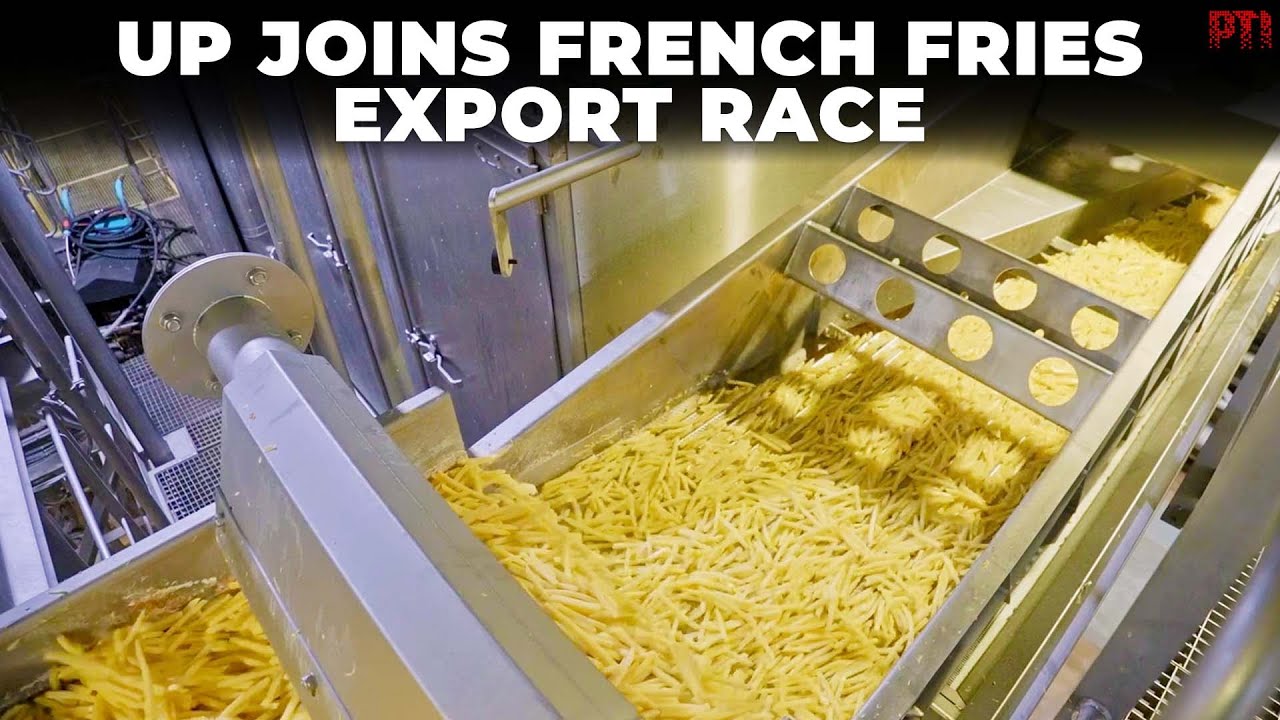 After Gujarat, Uttar Pradesh steps into French fries export market