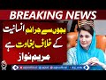 Maryam Nawaz Condemns Crimes Against Children as an Attack on Humanity - Aaj Pakistan