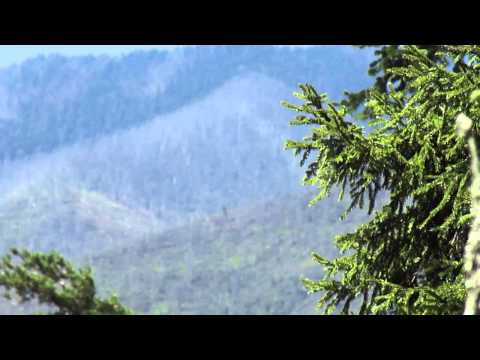 Tsaghveri წაღვერი