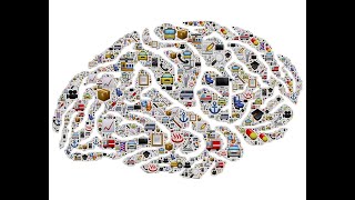 Memory Stages: Encoding, storage, retrieve