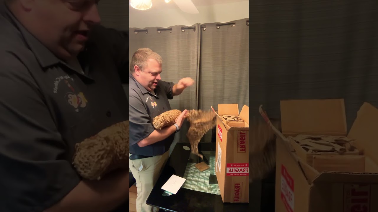 Tequila Ocho Puntas 2024 Unboxing