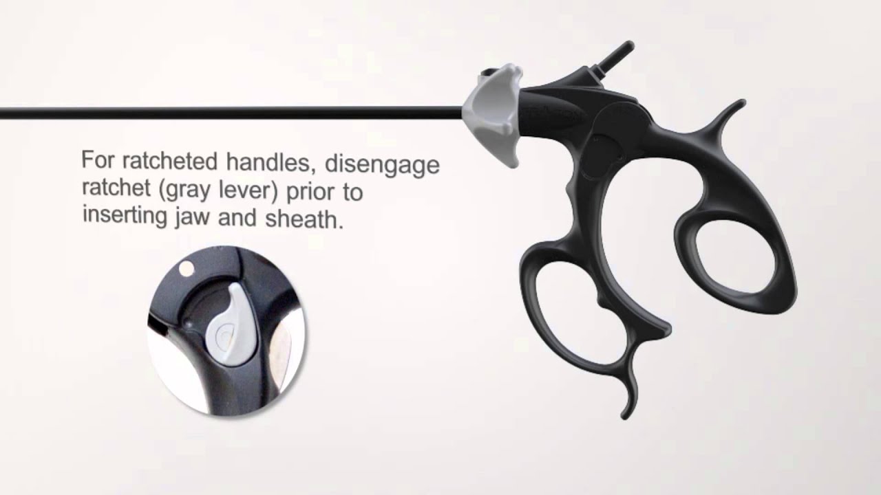 Eragon Modular Laparoscopic Forceps And Scissors YouTube