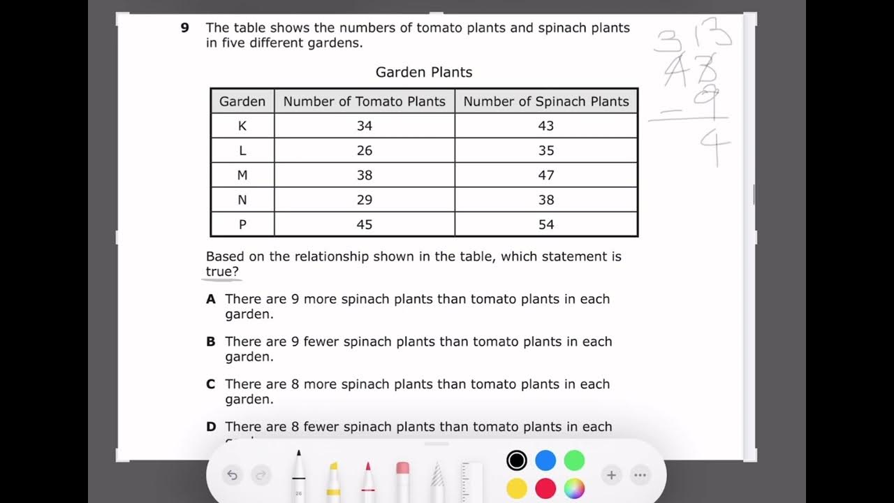 STAAR test 3rd grade Math Review My Study Reviews YouTube