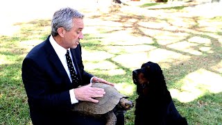 Robert F Kennedy JR - hero of the environment and tortoises!