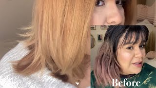 Color Oops on Layers of hair color | Leslie M