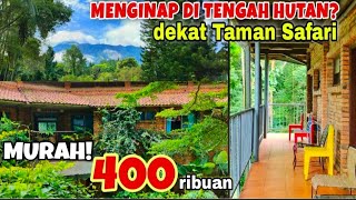 Pohon Inn Hotel JATIM PARK 2 Kota Batu - Hotel Recomended ??