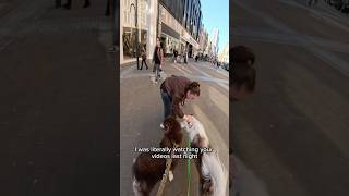 Interactions with my dog!! #dogshorts #violasnow #viral #famous #yuki #pets #repost #duet