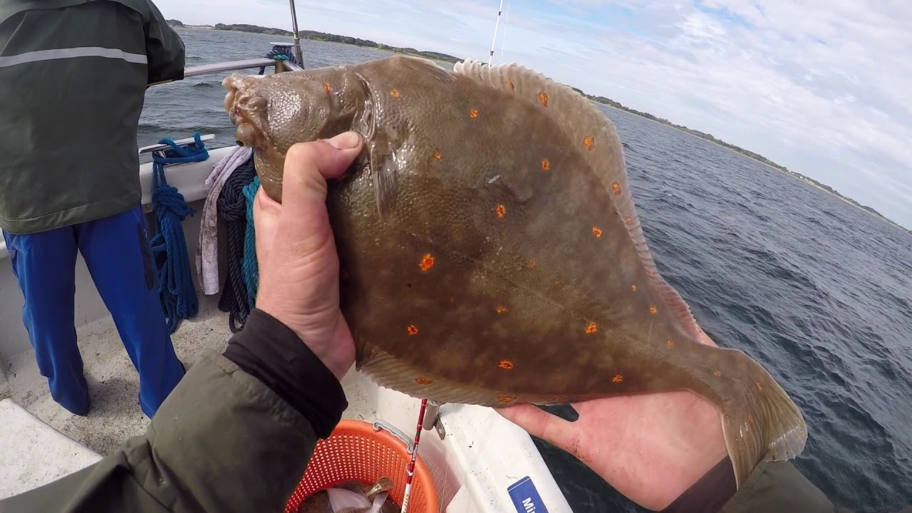 Fladfiskeri fra turbåd