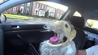 SaturDAVE 930 AM ET Dec 22