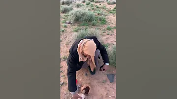 الترفاس المغربي 