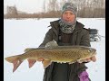 С друзьями за ленками  - в поиске рыбных мест