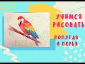 Учимся рисовать попугая| рисование для детей 7+ | В мире животных 2 урок