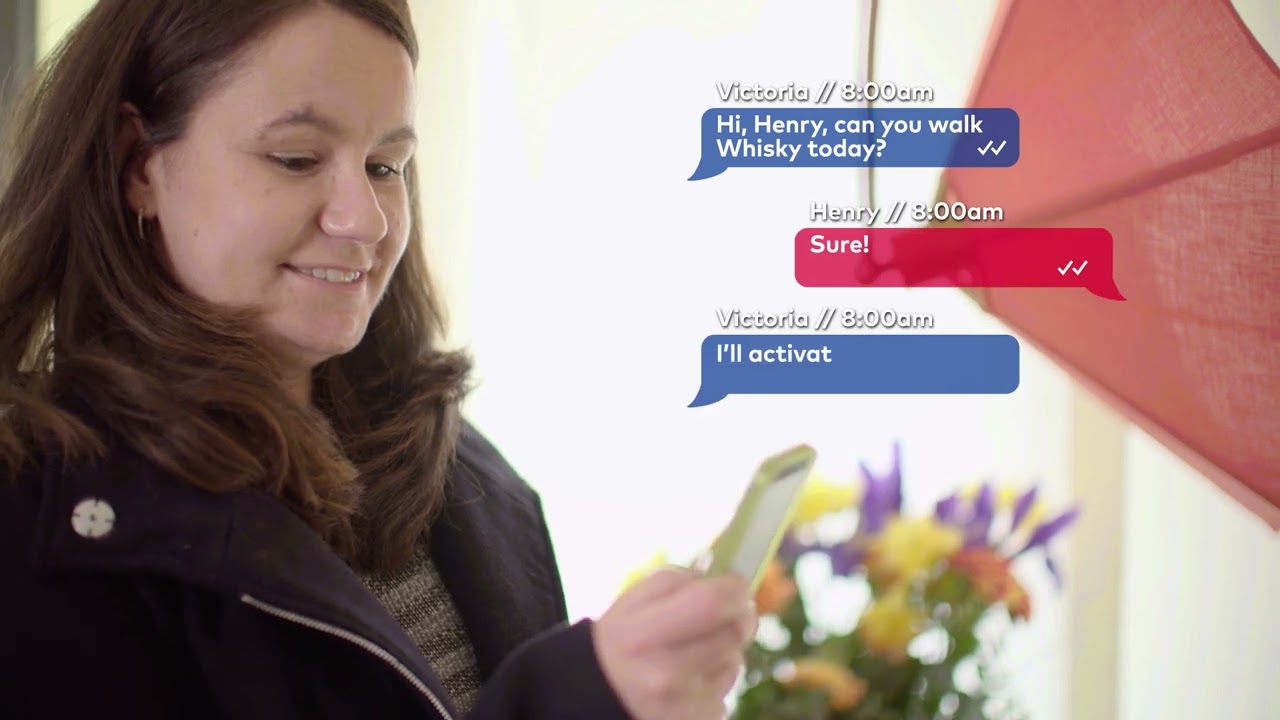 dormakaba cylinder lock - SAT (Secure Access Temporary)