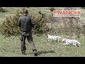 Cazando perdices con perro de muestra junto a Franchi