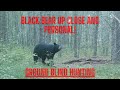 Wisconsin Bear Hunting Week 2 (CLOSE ENCOUNTER WITH BLACK BEAR)