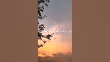 #قرآن #قران_كريم #بندر_بليلة بندر بليلة سورة الأنعام ايآت (٦١ـ٦٢)