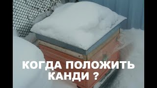 Когда положить канди ?