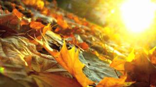 Autumn Leaves by Lana Lane (with lyrics)