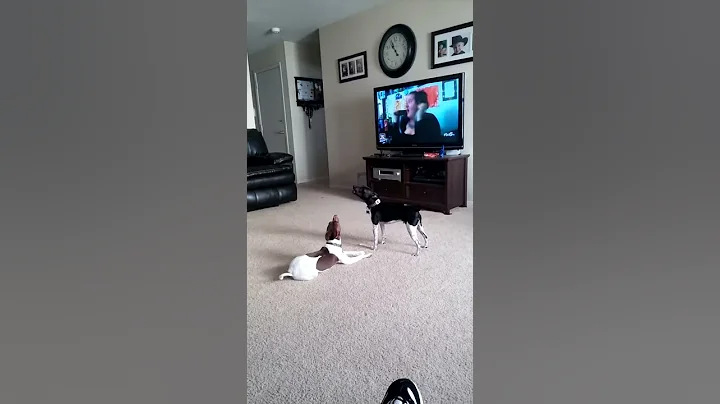 Singing dogs