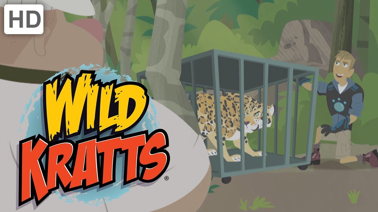 hunting animals should be banned Wild Kratts - Stop Those Villains! (15+ Minutes!)
