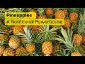 The bountiful nutritional powerhouse exploring the wonders of pineapple  sgk english