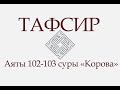 Аят 102-103 суры «Корова»: «Они последовали за тем, что читали шайтаны в царстве Сулеймана» (ТАФСИР)