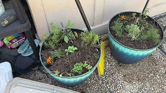 How (And Why) To Use Mulch With Plants