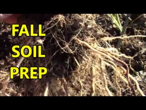 Most IMPORTANT Step in Fall to Winter GARDEN SOIL PREP
