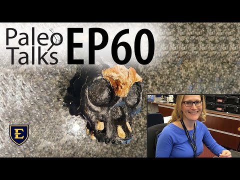 Homo Naledi: A Bite Out of History [Paleo Talks EP60]