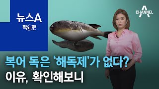 [팩트맨]복어 독은 ‘해독제’가 없다?…이유, 확인해보니 | 뉴스A