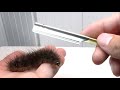 毛虫の毛を剃るとこうなります Shaving a Caterpillar's Hair