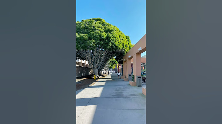 UC Santa Barbara campus tour, one of the most beautiful college campus, Nov 2022